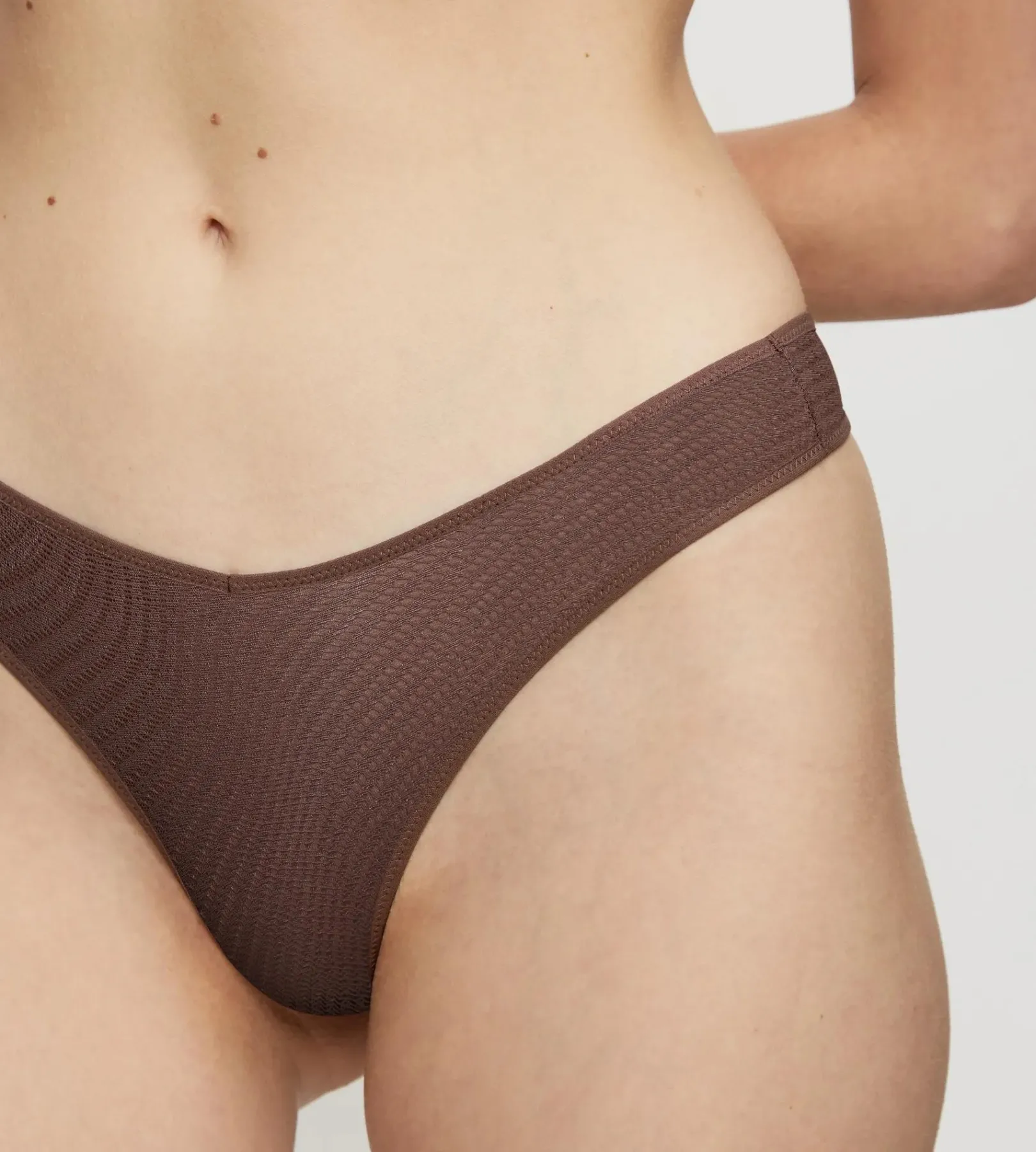 Triumph HARMONY SPOTLIGHT