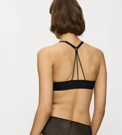 Triumph HARMONY SPOTLIGHT