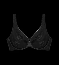 Triumph WILD ROSE SENSATION